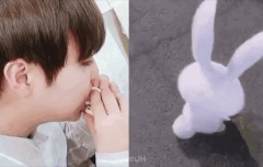 윙토끼 4탄ㅋㅋㅋㅋㅋ