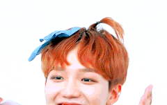 임영민사과머리