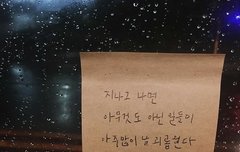 꼬랑하는 우리 꼬야들아☺