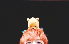 당분간 이제 활동계획이 없는건가