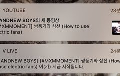 브이라이브했어?