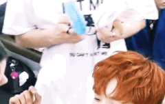 비하인드 움짤들