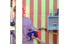 워너원고에서 배진영