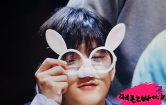 평생 토끼해 민갸