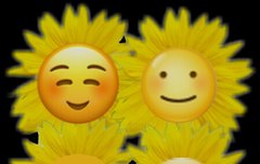 꼬는 어디에나☺