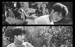 팬들위해, 디어로 컴백하는 스누퍼 칭찬해!