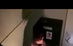 참꼬랑단장 황꼬☺❤