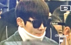 밍기 한국 온다!!!