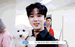 영상움짤(좋은건 같이^^)