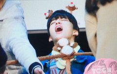 사진 하나만+)이거 고화질