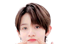 움짤 보고갈래?