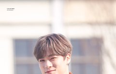 이거보고도 안치일수있겠나