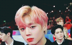 윙깅이 수고했어ㅠㅠㅠㅠ