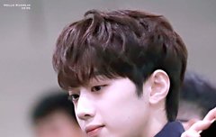 관너블들 99.9%는 ㅇㅈ?