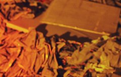 와 이번에 최주농 ㄹㅇ