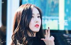 시그 사는 사람?