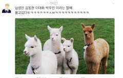 이거봤어?ㅋㅋㅋㅋ