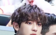 여리사진저장해두기8