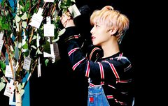 사과나무 윙깅이