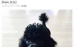 경수 프엑 ㅋㅋㅋㅋㅋㅋㅋㅋㅋㅋ