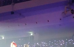 이삐들 내 시야짤 보고갈래..?