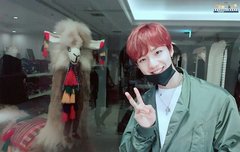 라마 친구 앒파카