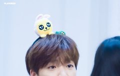 와 세운이 역대급이었다...