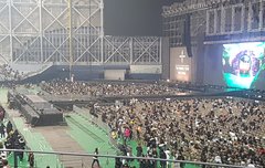 극싸자리어때??