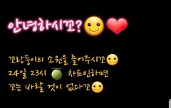 고급지게 돌아온 꼬랑둥