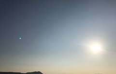 종현이 잘 도착했나봐..