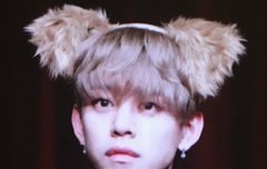 댛니 강아지머리띠