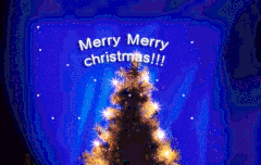 라이트들 메리크리스마스~