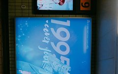 홍대입구에서 태태 찾는 이삐