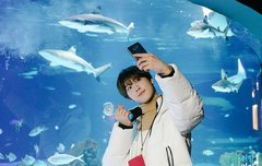 별둥이들 무대봤냐