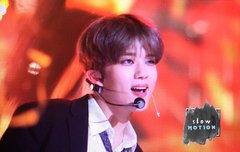 영재의 친목과 플뷰