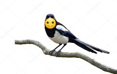 밑글 ㅁㄱ)꼬힛❤