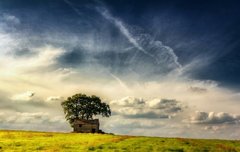 현재젤피와별빛의상황