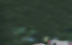 이거 안경 어디껀지 아는 사람