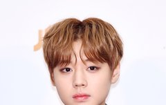 골디 기사사진 프리뷰