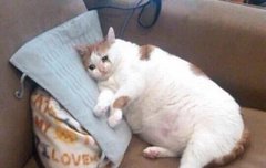 ㅅㄷ) 보고싶은데 못보는 픽들ㅠㅠ