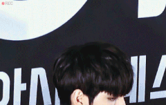 내가 정말 좋아하는 날들