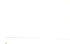 이 두개에 꽂혔어