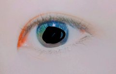 쌍수를 할까 말까