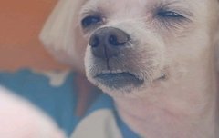 슈스방 카드 ㄹㅇ 랜덤이라 슬프다ㅋㅋㅋ