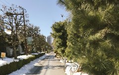 나도 좀 팬미팅! 가고싶다