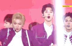 저어는 화살맞고죽음