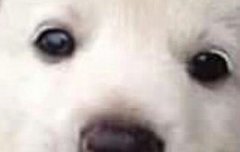 뷮들아~~ 사랑한드아아~