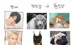 애들 첫인상->현인상 짤 넘 재밌음ㅋㅋㅋ