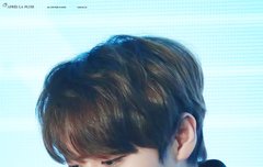 너 약간 다람쥐야?