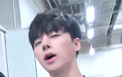 코닉들ㅠㅠ 대답해줘 팬미팅관련